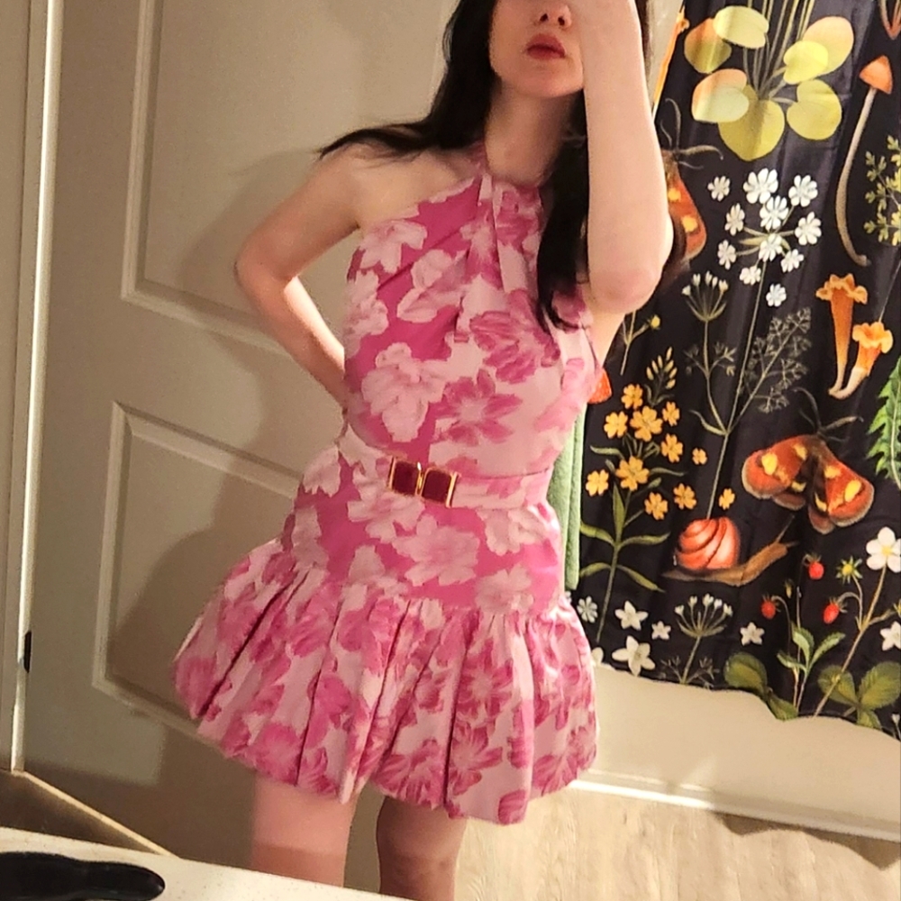 Silvia Tcherassi Pink Floral Mini Dress